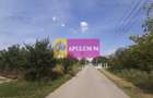 Teren pentru case in 1 Decembrie - 23
