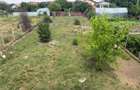 Casa individuala la roșu P+1E, 215mp utili, 994mp teren Peciu Nou