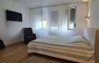 Casa tip triplex finisata mobilata, semineu 120 mp, teren 225 mp, Iris - 18