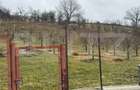 Teren de vanzare, Zona linistita, ideal construire