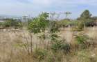 Teren Intravilan cu potential ridicat, 2535mp, Turda, zona centrala - 5