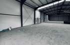 AV701 Hala NOUA industriala, de vanzare, Dunca-Giarmata, 596mp utili - 2