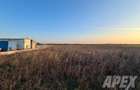 Teren industrial 16300mp | 60X275M | Centura Bucuresti - 7