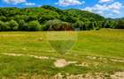 Teren intravilan cu PUZ aprobat Rasnov -Glajarie, 1205mp-3966mp