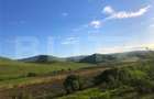 Teren de vanzare, 1.000 mp, Sat Pata - 1