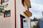 VIND VILA CU SPATIU INDUSTRIAL LOCUIT (pretabil la orice activitate) DASCALU IF - 2
