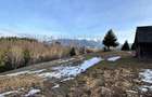 Teren 2,5 hectare in Simon, comuna Bran - 1