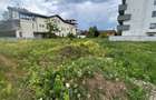 REL4001304 Teren Iancu Nicolae 2060 mp - 10
