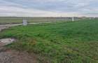 Teren intravilan Fundulea 1.000 mp | Parcelabil | Dublă deschidere | Utilități - 1