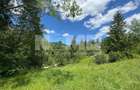 TEREN EXTRAVILAN DE VANZARE | CAMPULUNG MOLDOVENESC | 235.000€ - 2