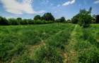 Teren intravilan Stupini ,Central, 823mp,Utilitati,83000 eur - 2