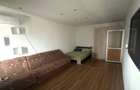 Apartament 2 camere Sos. Nicolina - 2