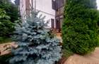 Casă solidă cu 4 camere și curte amenajată – Direct proprietar - 4