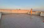 Penthouse 104,97 mp + 192,81 mp terase - piata Sudului