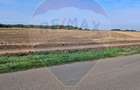 Teren 21,177mp Santaul Mic / Strada - - 4