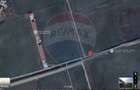 Teren 10,000mp Otopeni / Drumul Garii Odai - 3