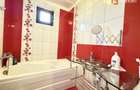 Apartament cu 2 camere de vanzare in zona Aradului - 4