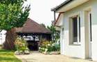Vila Băile Felix 414mp/3556mp 7dorm 5bai 3 bucătării  vie+cramă livadă filigorie
