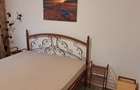 Apropiere parc Sebastian Barca acces linia 32 Rahova Petre Ispirescu mobilat - 6