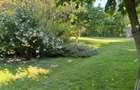 Zona Ghencea Sos Alexandriei Domeniu privat 2090mp cu piscina - 8