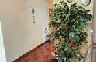 Apartament 3 camere decomandat zona Judetean,mobilat,122500 Euro - 10