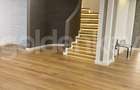 Vila inteligenta cu 5 dormitoare | 2 garaje | piscina