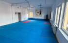 COMISION 0% Spatiu Comercial I 1350 MP I Manastur - 10