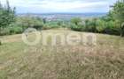 Teren de vânzare | Suprafață 10.040 mp | 2.500 € / ar | Strada Nucului - 1