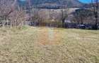 Teren intravilan de 4.000 mp în Bistrița – Alexandru cel Bun - 9