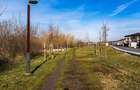 Casă contemporană între natură și oraș – Chitila - 7
