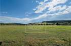Teren intravilan, 5861 mp - Tocile - 5