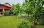 Casa 4 camere de inchiriat, curte proprie, Mosnita Noua, Timis - 13