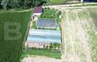 Teren extravilan 14.000 mp, Drâmbar – Ciugud | solarii, fotovoltaice - 7