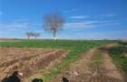 Teren extravilan 4.500- max.18.300mp in comuna Rosia (17 km de Sibiu) - 5