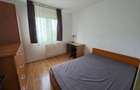 Baba Novac, 10 minute metrou Dristor, 5 minute parc IOR si mall Park Lake - 1