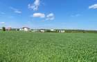 De vanzare teren construibil 1100mp - Cartierul nou langa padure, Moara Vlasiei  - 2