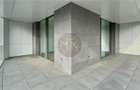 DUPLEX 5 camere 210 mp, curte+terase 250 mp | Lacul Floreasca - 17