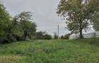 Teren de vanzare - Baicoi(Central) (intre case,gaze,curent,canalizare) - 1