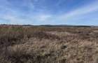 Teren de vanzare in Harman 4,4 Hectare - 12