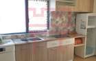 Inchirere casa individuala 5 camere partial mobilata gradina Someseni - 10