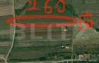Teren intravilan de vanzare, 4658 mp, localitatea Viile Satu Mare - 2