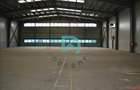 Vanzare hala industriala Brasov, Parc Industrial Prejmer - 6