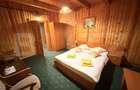 Cabana in Predeal, perfecta pentru turism – 7 dormitoare - 1