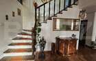 Vila în regim P+1, 380 mp2, pretabilă spații de birouri,  zona Consul Rompetrol - 2
