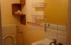 Inchiriere Apartament 3 Camere Crangasi - 17