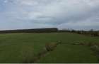 Teren intravilan de vânzare în Mitocu Dragomirnei | 5.800 mp | 43 m de - 3