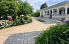 Casa visurilor cu 4000 mp livada roditoare si gradina Darmanesti-Arges - 29