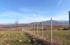 Teren 809 mp intravilan zonă în plină dezvoltare în Tropinii Noi - 6