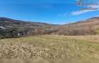 Teren de exceptie 3,1 ha intravilan | Panorama, utilitati, acces dublu | Sard - 10