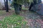 DE VÂNZARE – PROPRIETATE CU POTENȚIAL DEOSEBIT, PLOIEȘTI – STR. ALECU RUSSO - 16